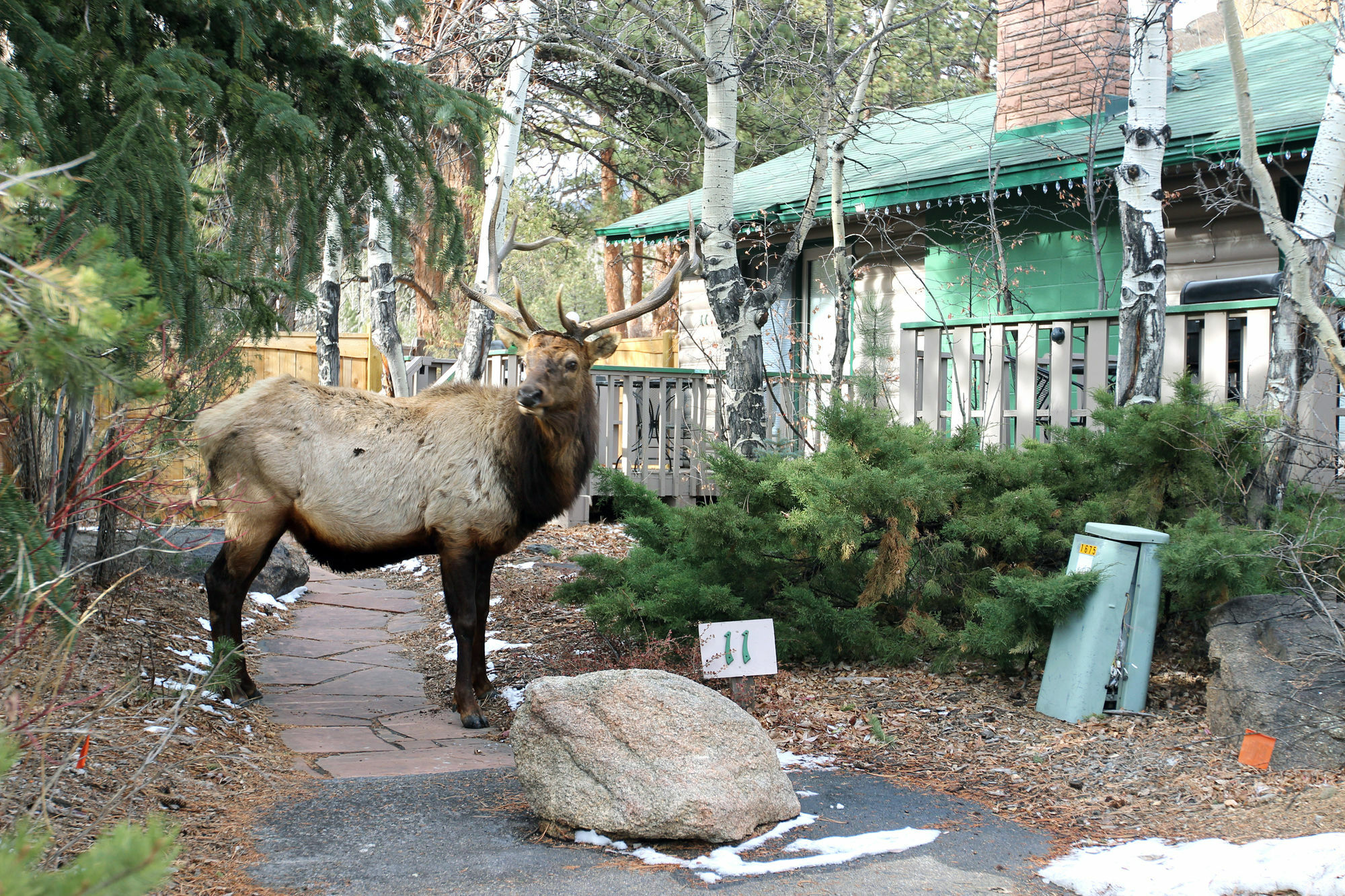 Sunnyside Knoll Resort Estes Park Dış mekan fotoğraf